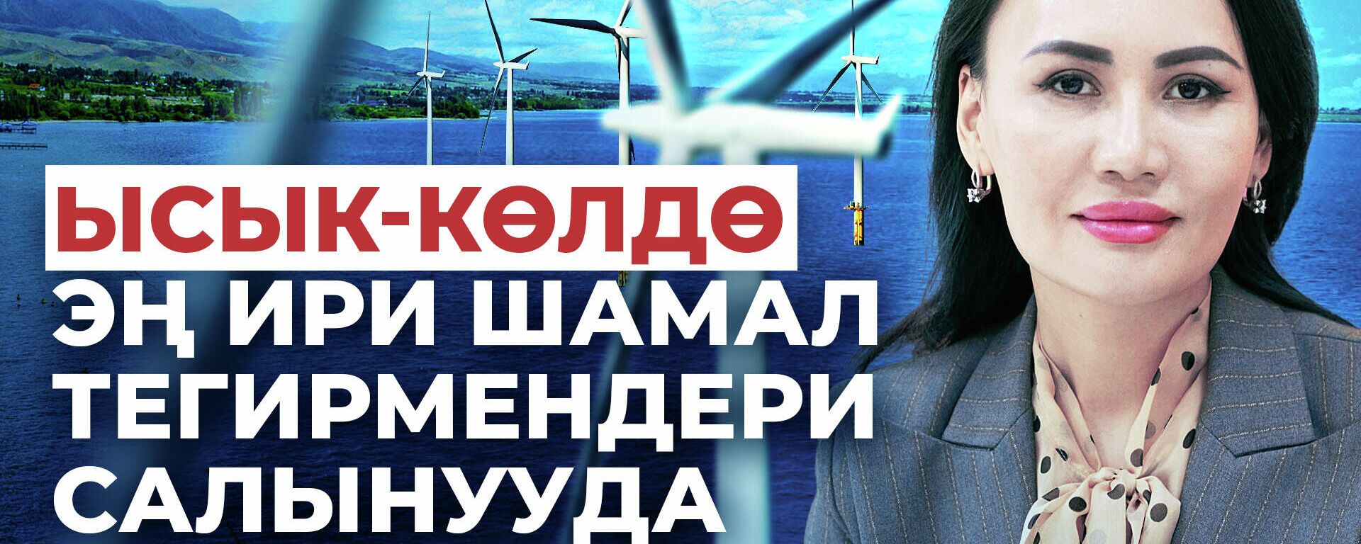 Кыргызстан энергетикалык кризистен кантип чыга алат? Ойлонтчу видео - Sputnik Кыргызстан, 1920, 26.02.2022