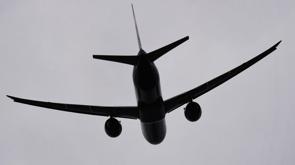 Самолет заходит на посадку. Архивное фото - Sputnik Кыргызстан