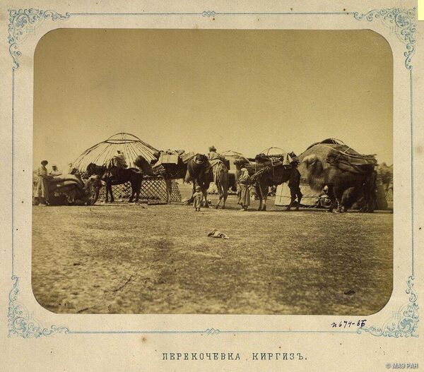 Кыргызы разбирают юрту и грузят на вьючных лошадей и верблюдов. Фото 1870-1872 годов. - Sputnik Кыргызстан