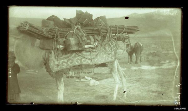 Детали юрты и посуда,  погруженные на верблюда. Нарын, 1926 год. - Sputnik Кыргызстан