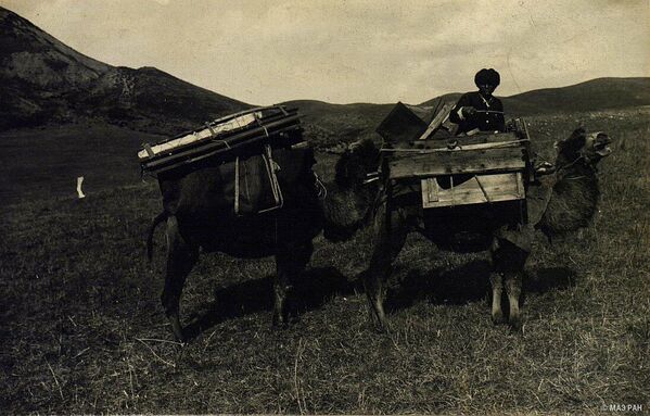 Летом скот обычно держали на стороне кунгой (южный солнечный склон гор), а на теневой (тескей) пасли, если трава там была достаточно высокой - Sputnik Кыргызстан