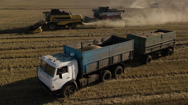 Уборка урожая пшеницы на полях. Архивное фото - Sputnik Кыргызстан