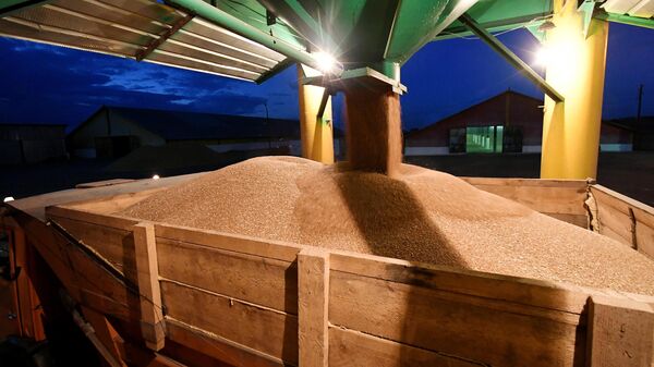 Сбор урожая зерна. Архивное фото - Sputnik Кыргызстан