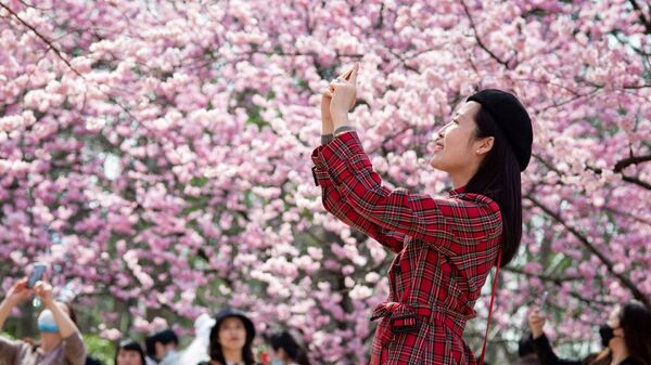 Девушка фотографирует цветущую вишню в китайском городе Нанкин - Sputnik Кыргызстан