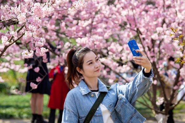 Люди с удовольствием фотографируют цветущие деревья и себя на их фоне - Sputnik Кыргызстан
