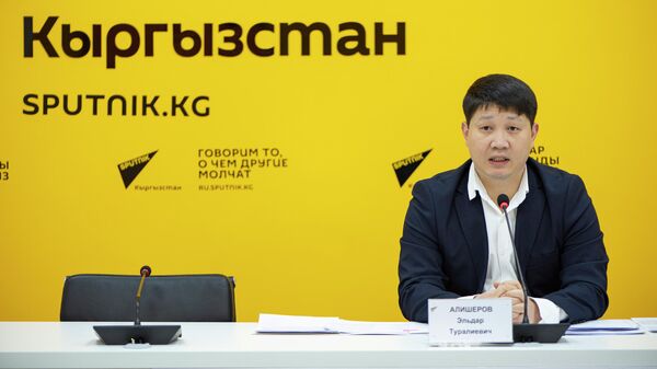 Экономика министринин орун басары Элдар Алишеров - Sputnik Кыргызстан