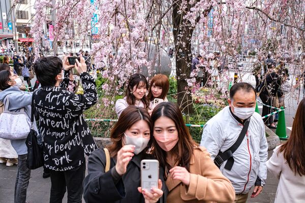 Жители Японии радуются цветению сакуры - Sputnik Кыргызстан