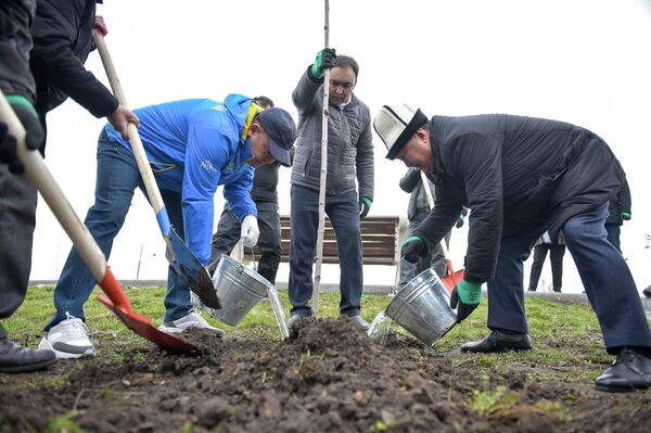 Всего они высадили 30 саженцев клена, ясеня, липы и черемухи - Sputnik Кыргызстан