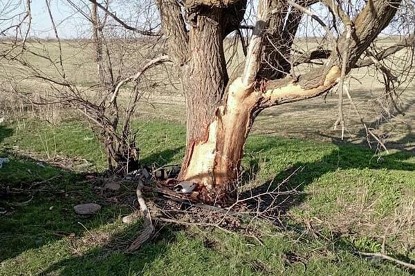 Авария произошла 31 марта в селе Толок Московского района - Sputnik Кыргызстан