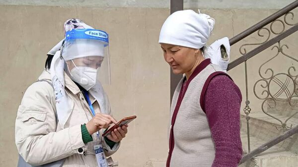 Каттоочу элди жана турак жай фондун каттоо өнөктүгү учурунда. Архивдик сүрөт - Sputnik Кыргызстан