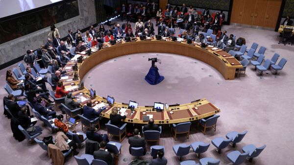 Заседание Совета Безопасности ООН - Sputnik Кыргызстан