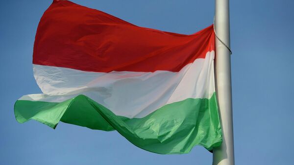 Венгерский национальный флаг  - Sputnik Кыргызстан