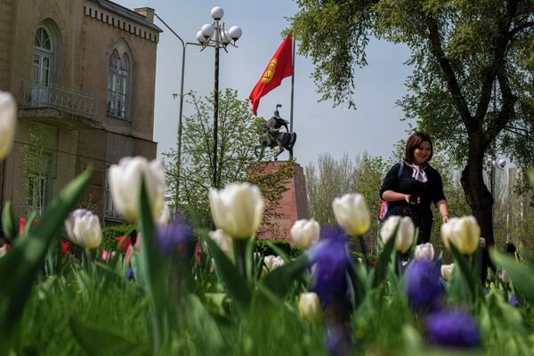 Полюбоваться тюльпанами можно на Аллее молодежи, возле памятника Курманджан датке, в Театральном сквере, на улицах Фрунзе, Ибраимова, а также на пересечении улиц Ахунбаева и 7 Апреля - Sputnik Кыргызстан