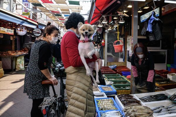 Женщина с собакой у прилавка со свежими морепродуктами на уличном рынке в Сеуле (Южная Корея) - Sputnik Кыргызстан