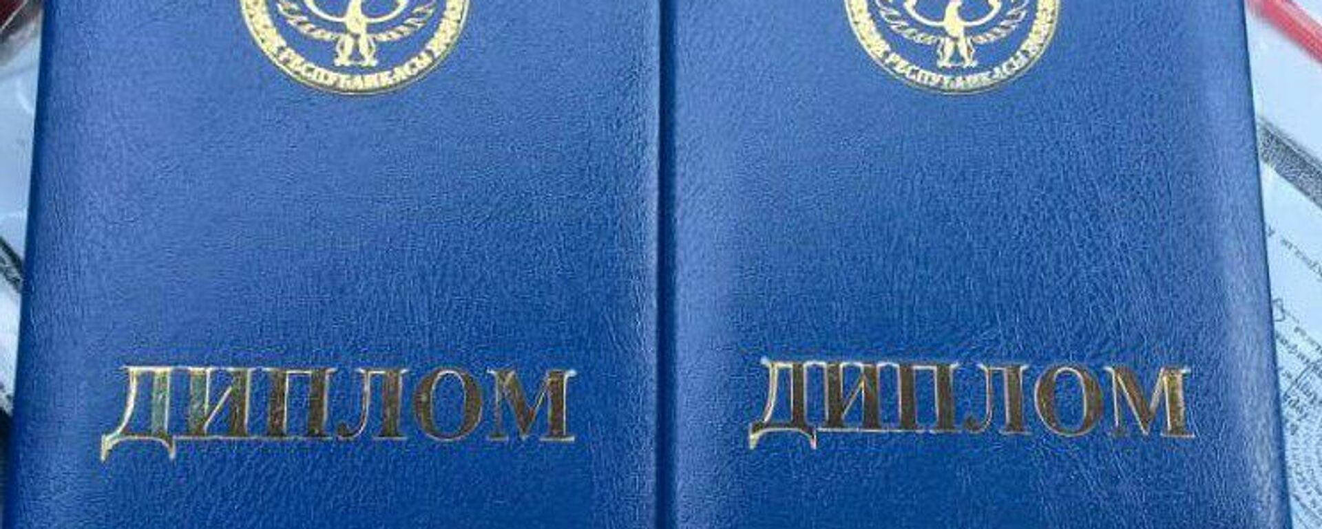 Задержание граждан, которые подозреваются в изготовлении поддельных дипломов - Sputnik Кыргызстан, 1920, 15.04.2022
