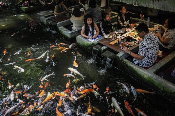 Посетители рыбного ресторана в Чиангмае (Таиланд) смотрят на плавающих карпов  - Sputnik Кыргызстан