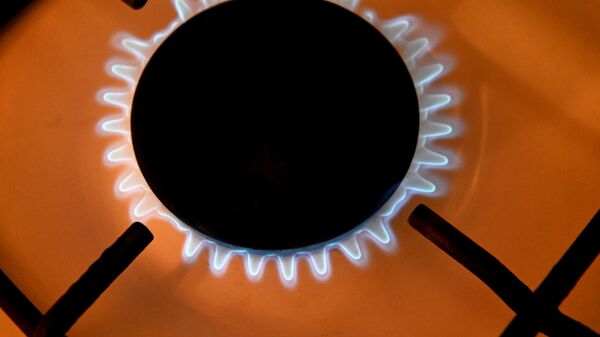 Включенная газовая конфорка. Архивное фото - Sputnik Кыргызстан