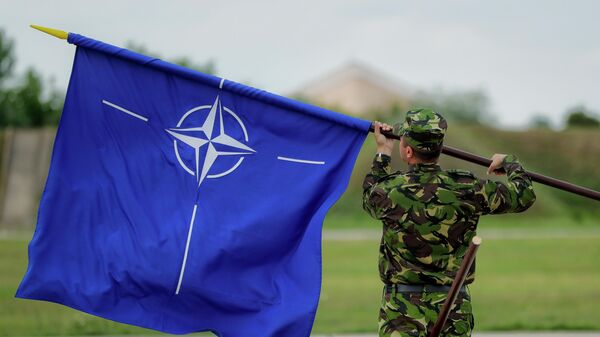 НАТОнун желегин кармаган аскер. Архивдик сүрөт - Sputnik Кыргызстан