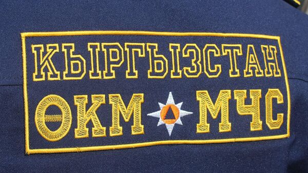 ӨКМ кызматкеринин формасы. Архив - Sputnik Кыргызстан