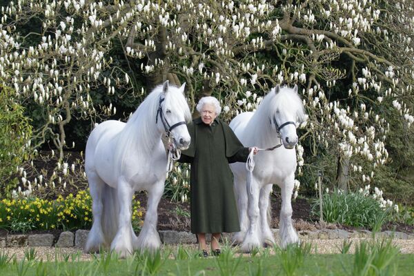 Королеве Великобритании исполняется 96 лет. На фото Елизавета II с двумя белыми пони. - Sputnik Кыргызстан