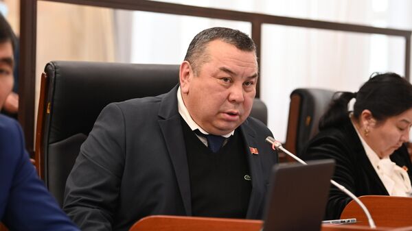 Депутат Жогорку Кенеша Балбак Тулобаев - Sputnik Кыргызстан