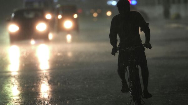Жамгыр учурунда велосипед тээп бараткан адам. Архив - Sputnik Кыргызстан