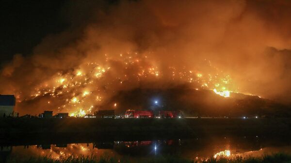 Крупный пожар на свалке в Нью-Дели - Sputnik Кыргызстан