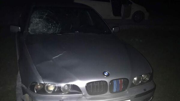 BMW сбила девушку в Чуйской области - Sputnik Кыргызстан