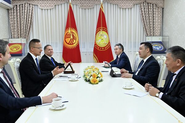 В ходе встречи стороны обменялись мнениями по актуальным вопросам сотрудничества в политической, торгово-экономической и культурно-гуманитарной сферах - Sputnik Кыргызстан
