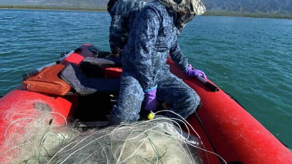 Незаконный вылов рыбы на озере Иссык-Куль - Sputnik Кыргызстан