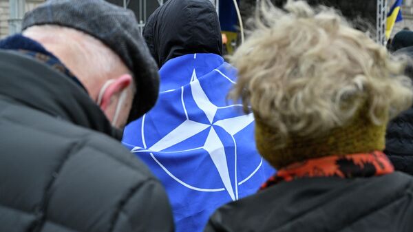 Мужчина с флагом НАТО на митинге в Берлине. Архивное фото - Sputnik Кыргызстан