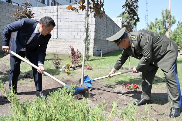 Мамлекет башчысы андан ары имаратты, иш бөлмөлөрдү көрүп чыгып,  аймагына көчөт отургузду - Sputnik Кыргызстан