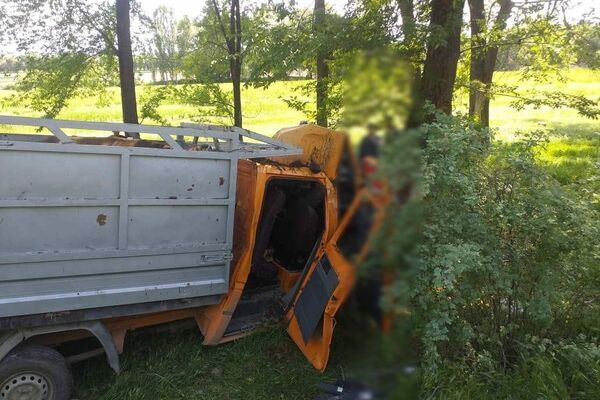 В Таласской области грузовой Mercedes-Benz вылетел с трассы и врезался в дерево, погиб один человек, пятеро пострадали - Sputnik Кыргызстан