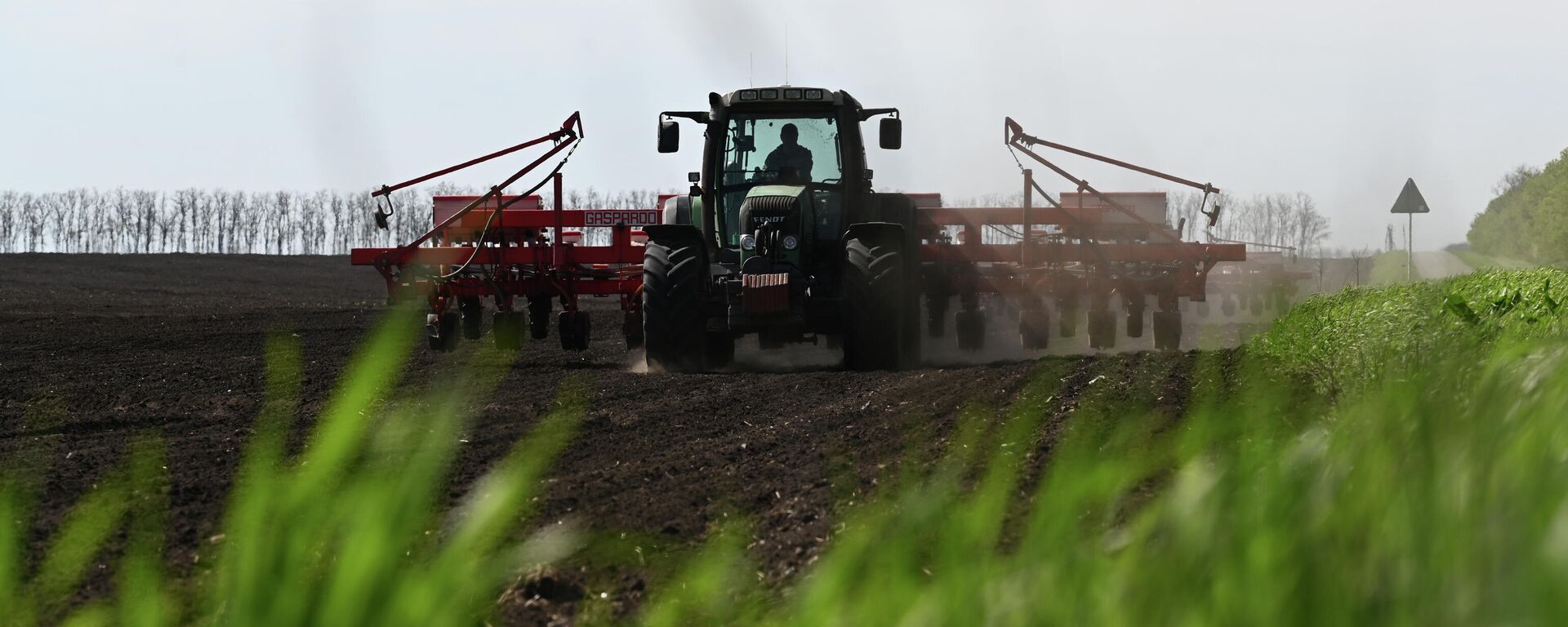 Спаржа экспорту. Архив - Sputnik Кыргызстан, 1920, 20.02.2026