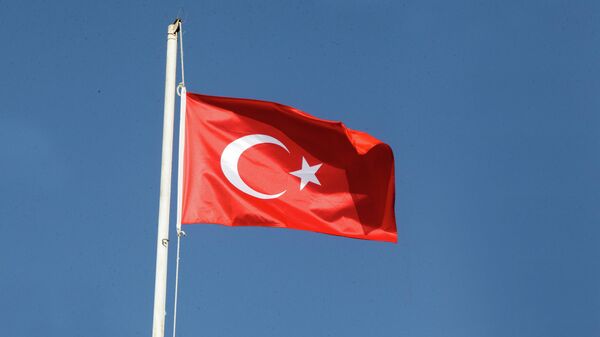 Турецкий национальный флаг - Sputnik Кыргызстан