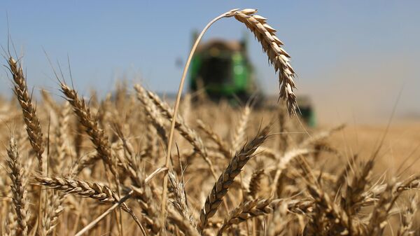 Уборка урожая зерновых. Архивное фото - Sputnik Кыргызстан