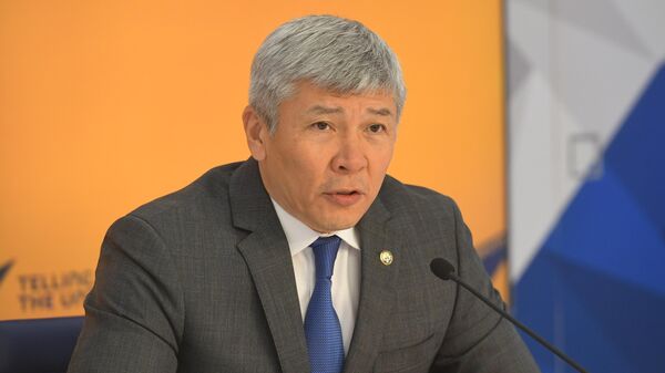Министр таможенного сотрудничества ЕЭК Максат Мамытканов - Sputnik Кыргызстан