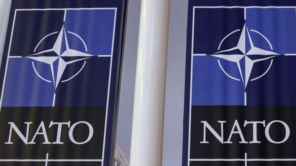 НАТОнун логотиби менен баннерлер. Архив - Sputnik Кыргызстан