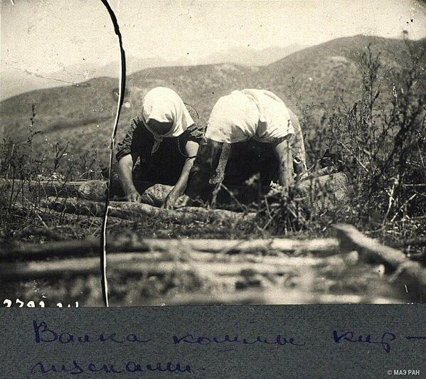 Жайлоодо кийиз жасаган кыргыздар. 1928-жыл - Sputnik Кыргызстан