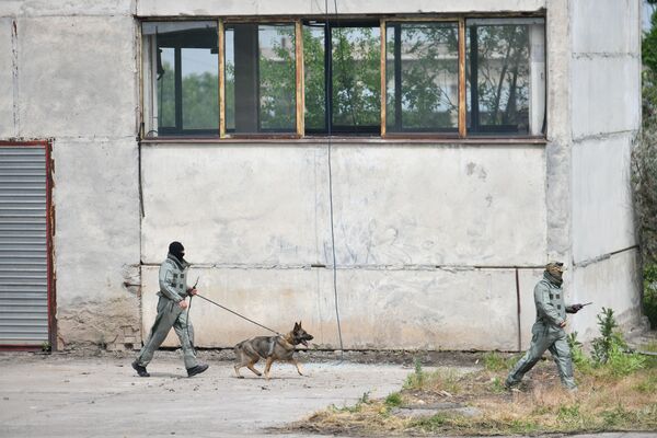 Военнослужащие с собакой во время учений - Sputnik Кыргызстан