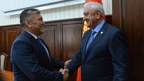 Министрлер кабинетинин төрагасынын биринчи орун басары менен Евразия экономикалык комиссиясынын коллегиясынын төрагасы жолукту - Sputnik Кыргызстан