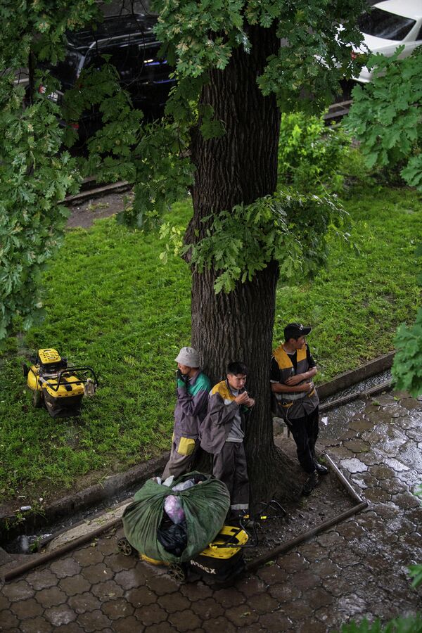 Сотрудники &quot;Тазалыка&quot; прячутся от дождя под деревом - Sputnik Кыргызстан