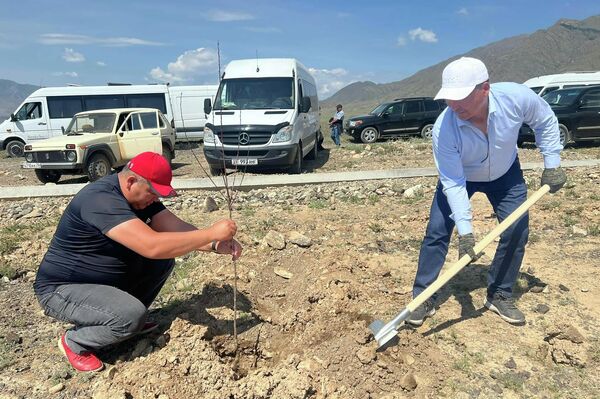 Ишемби күнү &quot;Жашыл мурас&quot; улуттук кампаниянын алкагында Балыкчы токой чарбасында &quot;Бир адамдан бир көчөт&quot; экологиялык акциясы өткөн - Sputnik Кыргызстан