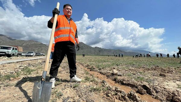 Бир адамдан бир көчөт экологиялык акциясы Балыкчы шаарында - Sputnik Кыргызстан