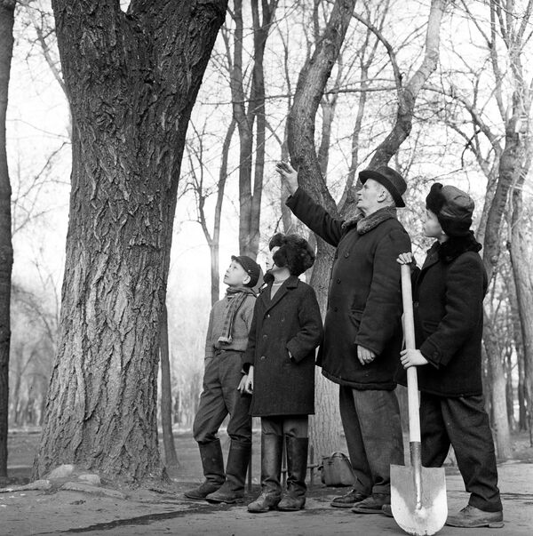 Борбор калаадагы парктардын бирине көчөт отургузганы келген пионерлер. 1969-жыл. - Sputnik Кыргызстан