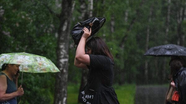 Люди во время дождя в парке - Sputnik Кыргызстан