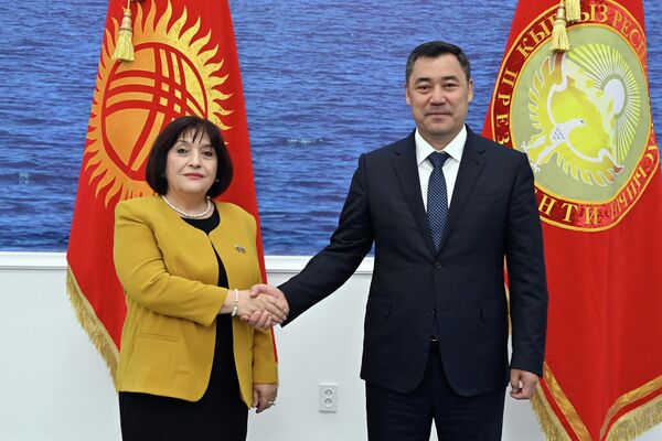 2008-жылы түзүлгөн ТүркПА парламенттер аралык кызматташтыктын жана өз ара иштешүүнүн маанилүү платформасы болуп калганын белгиледи - Sputnik Кыргызстан
