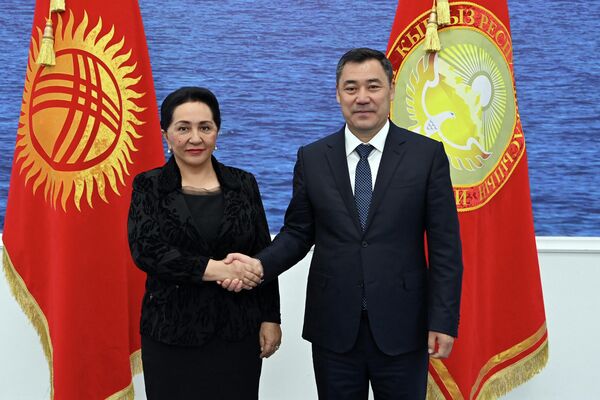 Глава государства подчеркнул, что созданная в 2008 году ТюркПА за годы деятельности стала важной платформой межпарламентского взаимодействия - Sputnik Кыргызстан