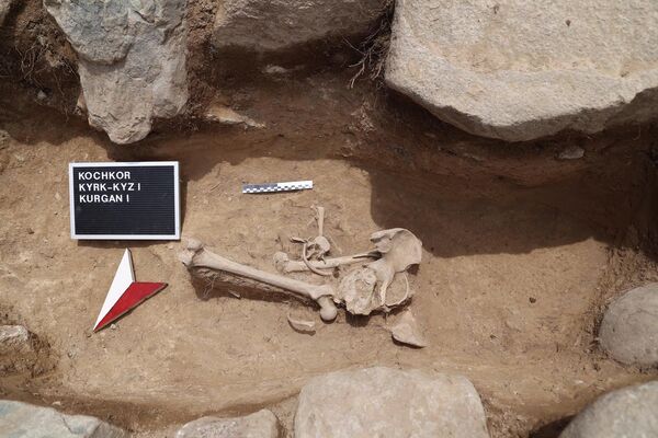 Археологические находки обнаружены возле одного из участков строящейся трассы север — юг - Sputnik Кыргызстан