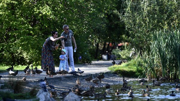 Семья кормит уток в парке. Архивное фото - Sputnik Кыргызстан
